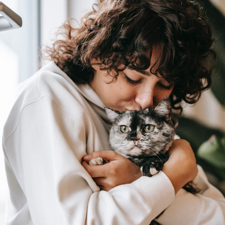 4 Signs Your Cat Loves You