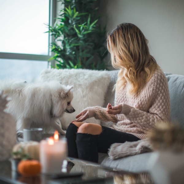 Dog owners need to know this about essential oils